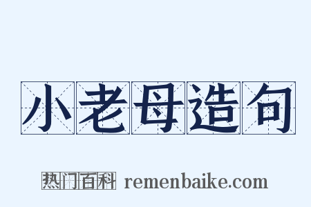 小老母造句是什么意思的图片